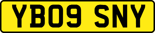 YB09SNY