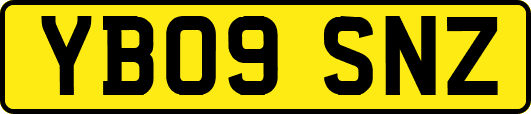 YB09SNZ