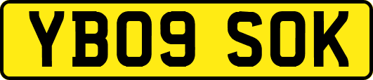 YB09SOK