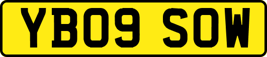 YB09SOW