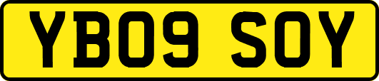 YB09SOY