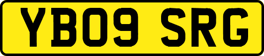 YB09SRG