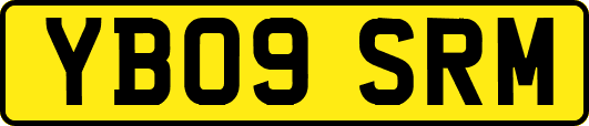 YB09SRM