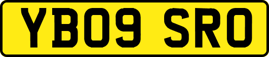 YB09SRO