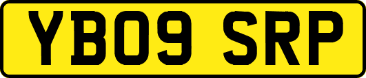 YB09SRP