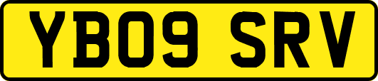 YB09SRV