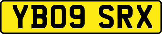 YB09SRX