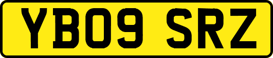 YB09SRZ