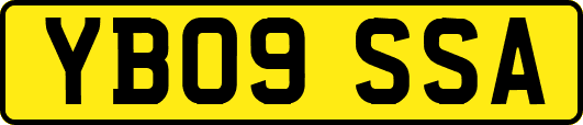YB09SSA
