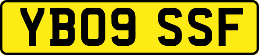 YB09SSF