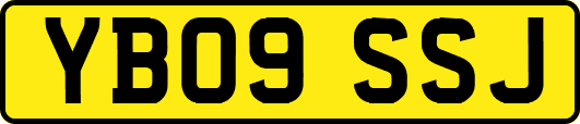 YB09SSJ