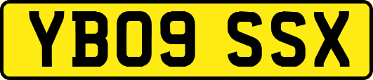 YB09SSX