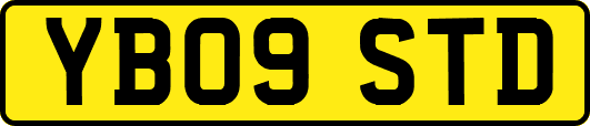 YB09STD