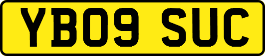 YB09SUC