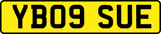 YB09SUE