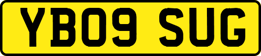 YB09SUG