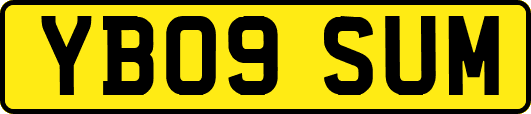 YB09SUM