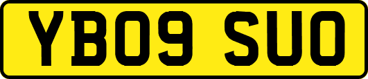 YB09SUO