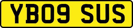 YB09SUS