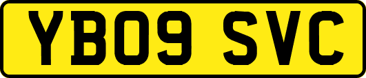 YB09SVC