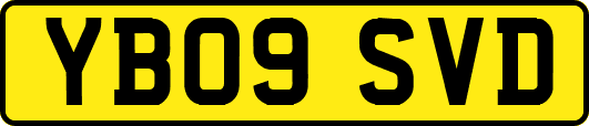 YB09SVD