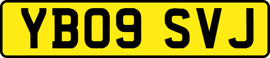YB09SVJ