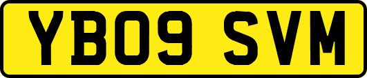 YB09SVM