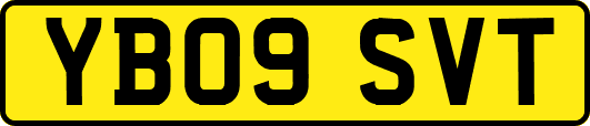 YB09SVT