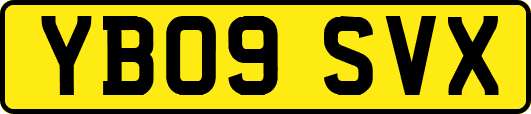 YB09SVX