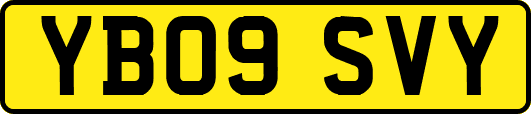 YB09SVY