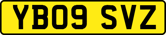YB09SVZ