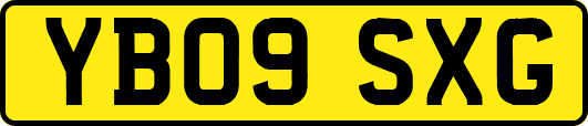 YB09SXG