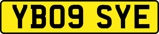 YB09SYE