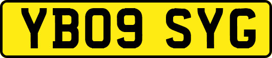 YB09SYG