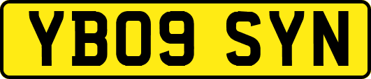 YB09SYN