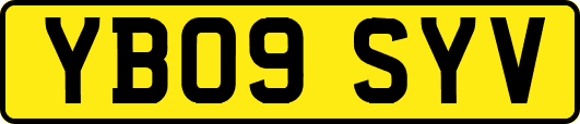 YB09SYV