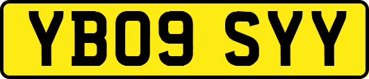 YB09SYY