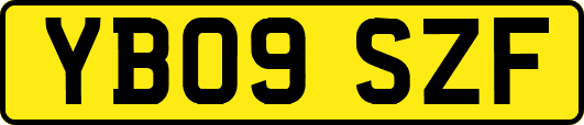 YB09SZF