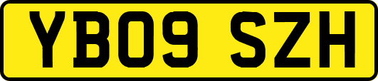 YB09SZH