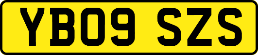 YB09SZS
