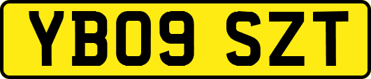 YB09SZT