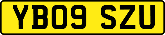 YB09SZU