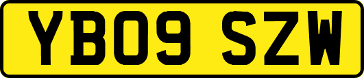 YB09SZW