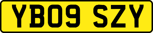 YB09SZY