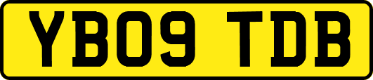 YB09TDB
