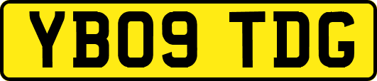 YB09TDG