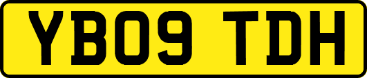YB09TDH