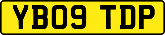 YB09TDP