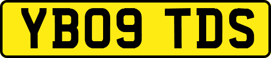 YB09TDS