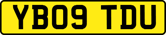 YB09TDU